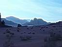 Wadi Rum 21